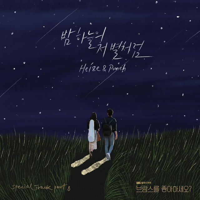Midnight (Do You Like Brahms? (Original Television Soundtrack) Special Track) cover art