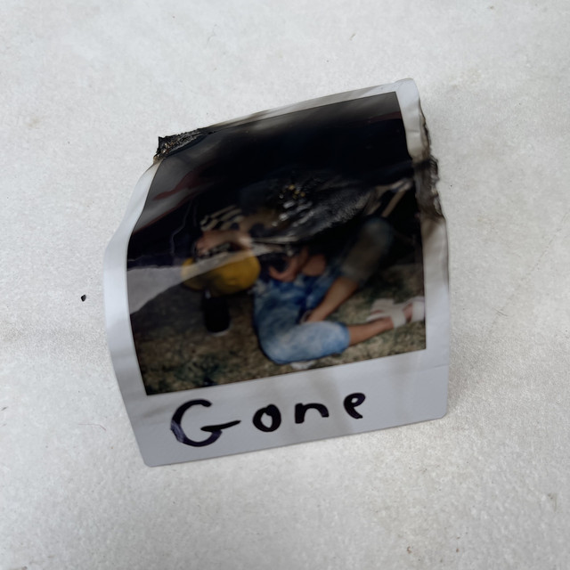 Gone cover art