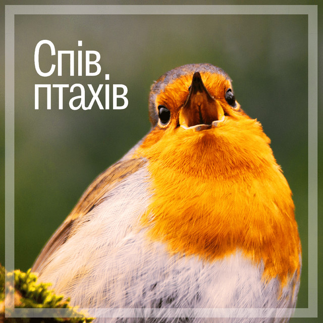 BS Звуки природи