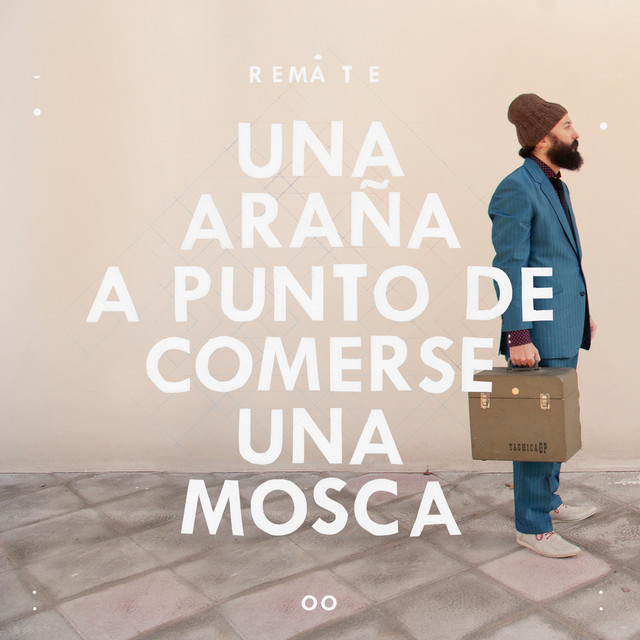 Una Araña a Punto de Comerse una Mosca cover