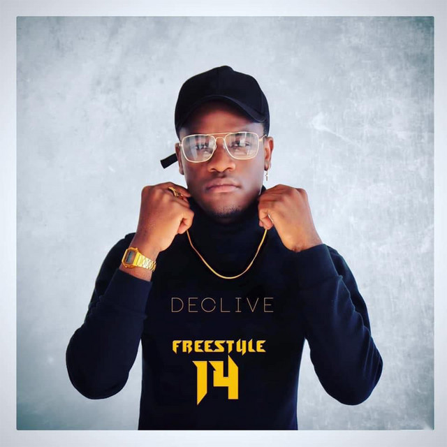 Freestyle 14 cover art