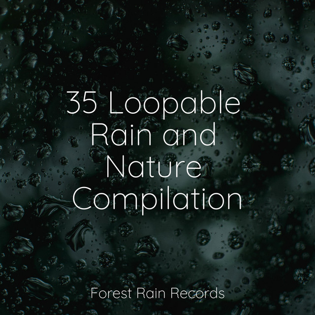 35 Loopable Rain and Nature Compilation - Album by Rain Sounds | Spotify