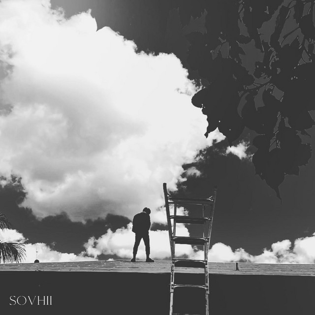 Salt cover art