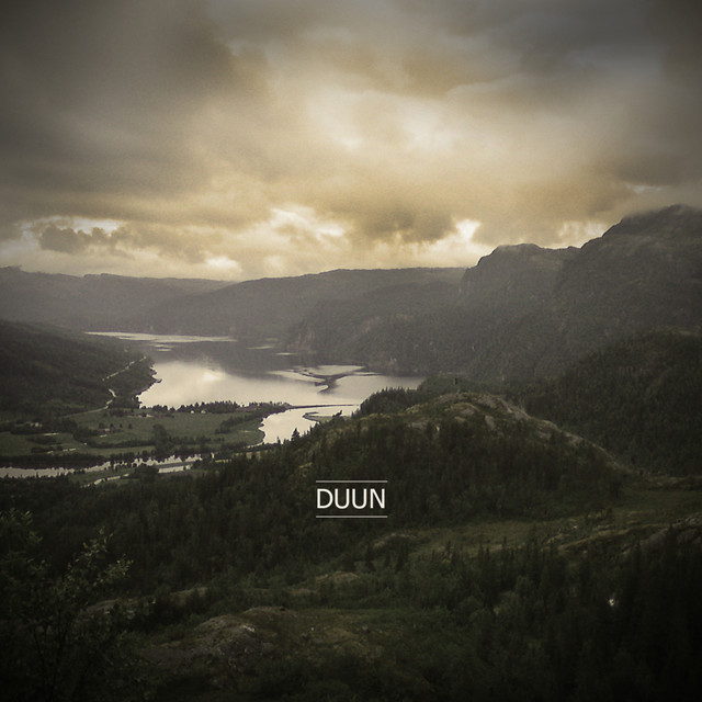 Duun cover art