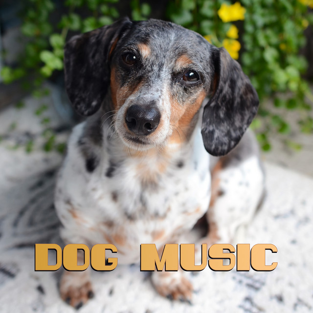 Dog Music cover art