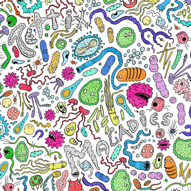 Maladies cover art
