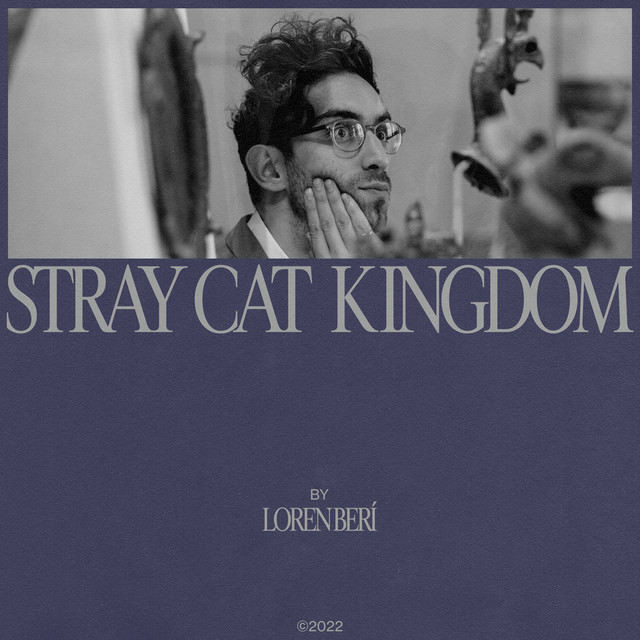 Stray Cat Kingdom cover art