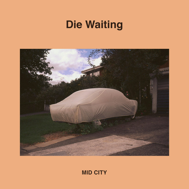 Die Waiting cover