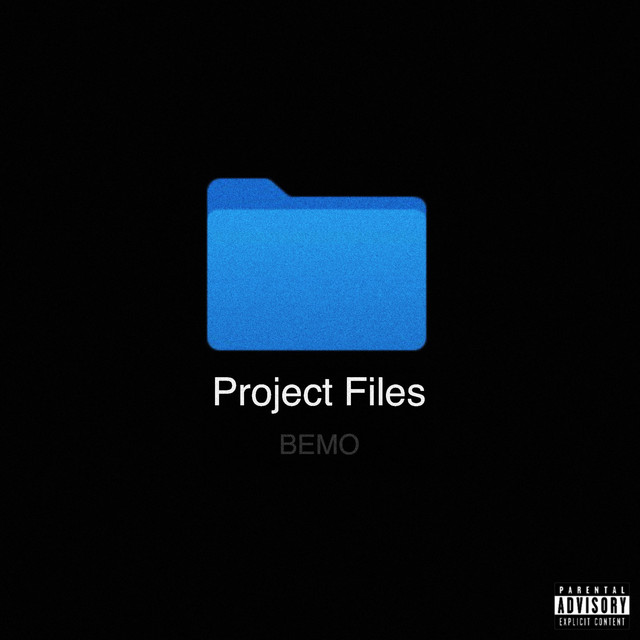 Project Files cover art