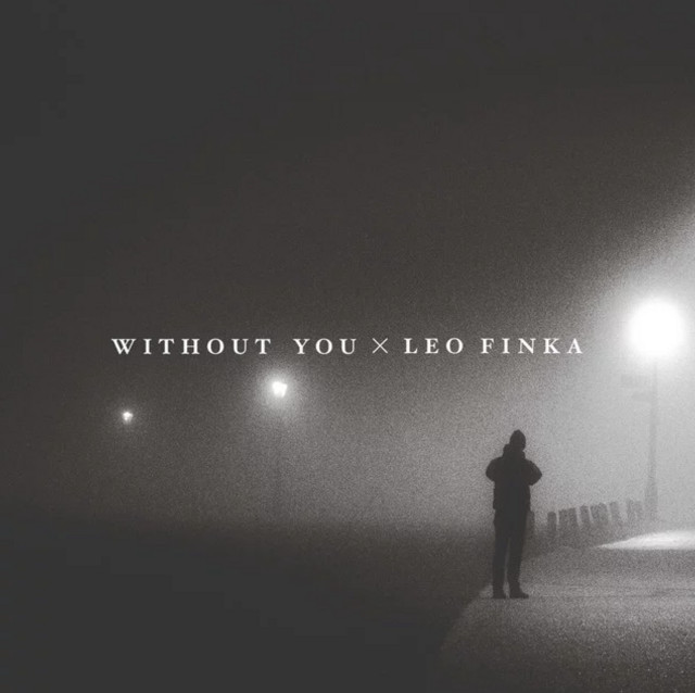 Without you by Leo Finka