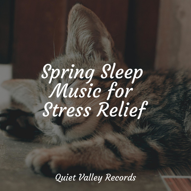 Spring Sleep Music for Stress Relief - Album by Natural Sounds | Spotify