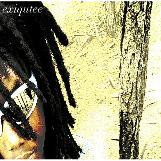 execute cover art