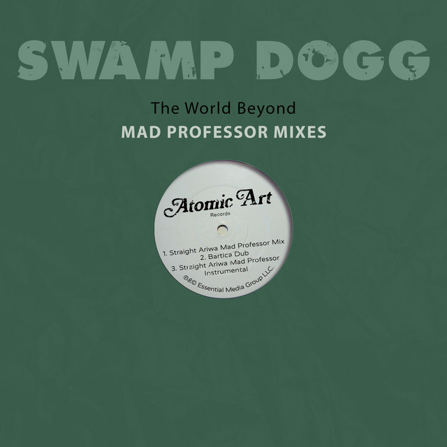 The World Beyond - Straight Ariwa Mad Professor Mix cover art