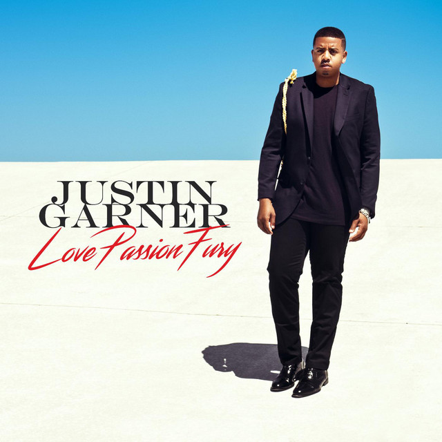 Love Passion Fury cover art