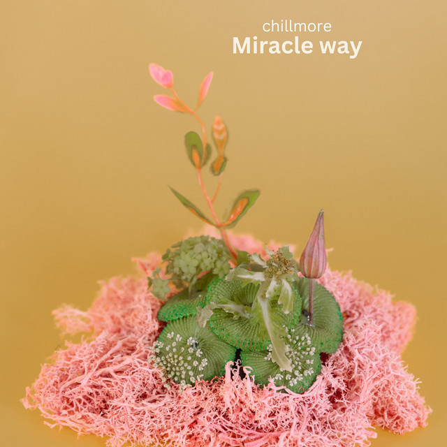 Обкладинка: Miracle Way — Chillmore