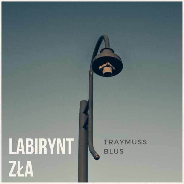 Labirynt Zła cover