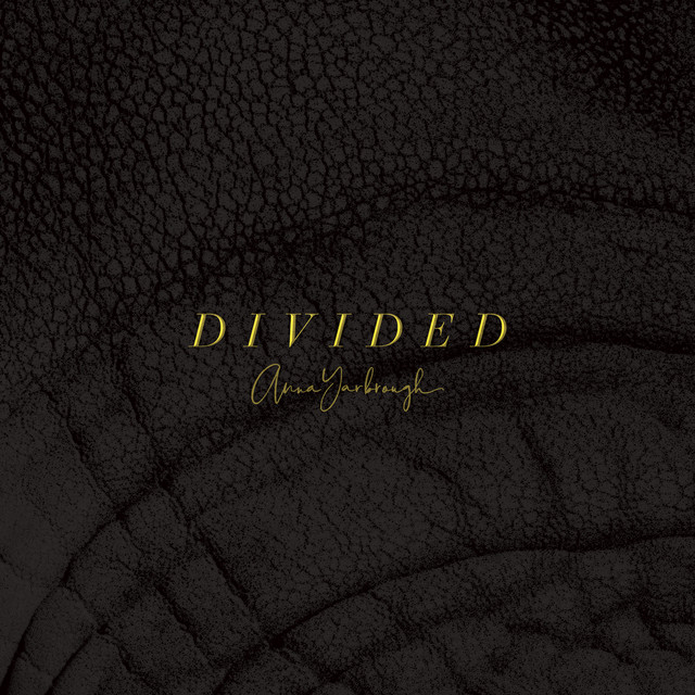 Divided cover art