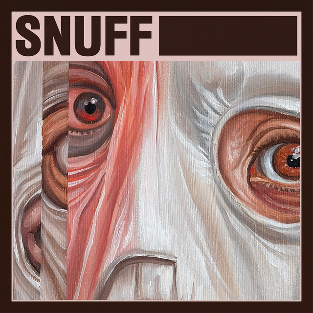 Pochette du titre Snuff