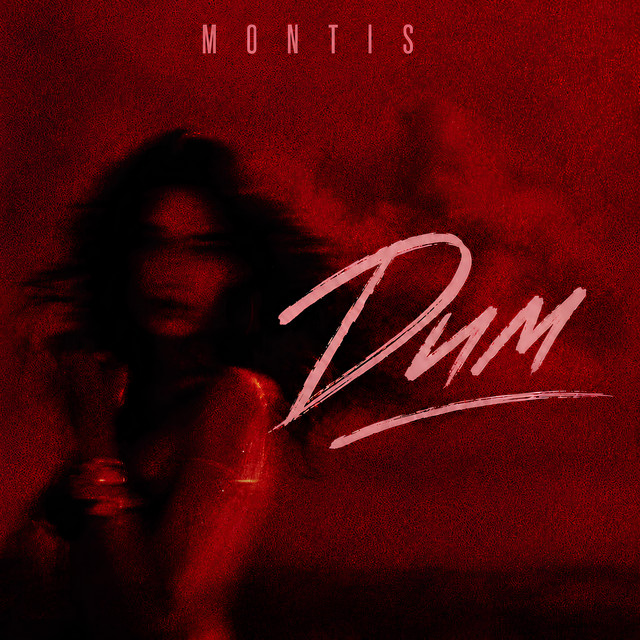 Обкладинка: Дим — Montis