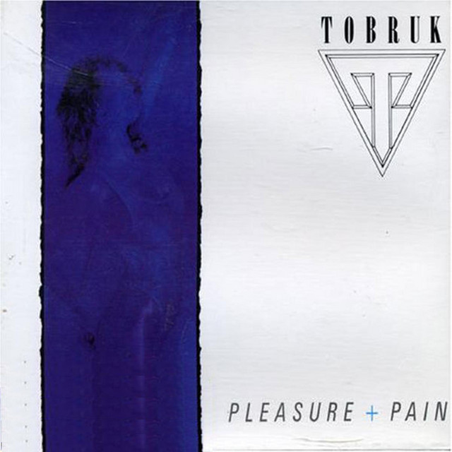 Pleasure + Pain cover art