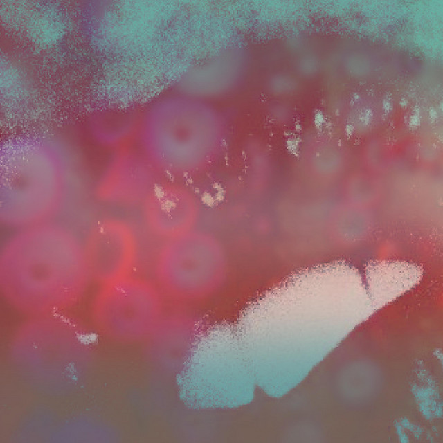 Sunset cover art