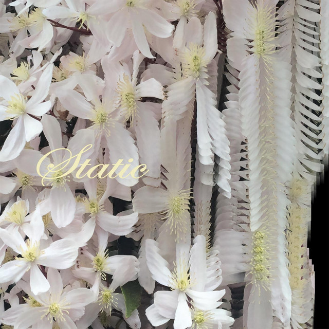 Static cover art