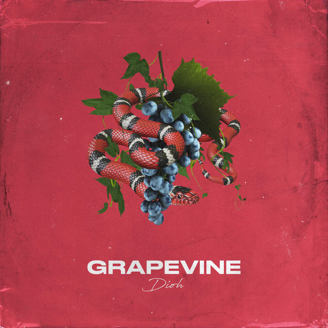 Grapevine cover art
