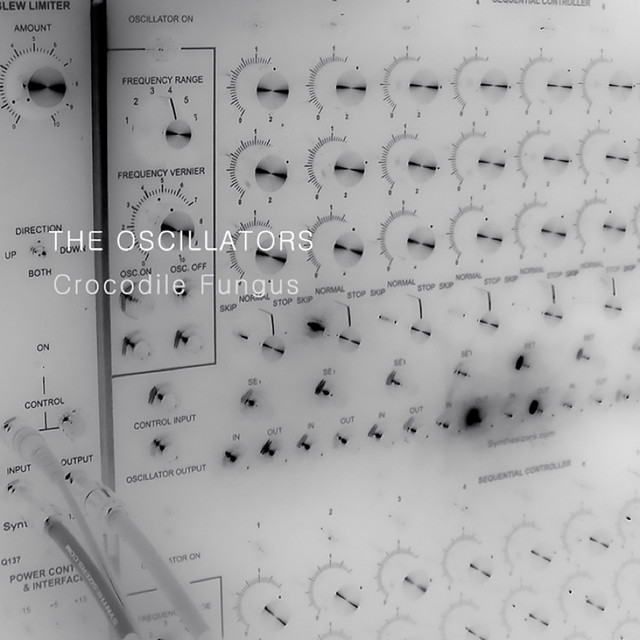The Oscillators Photo