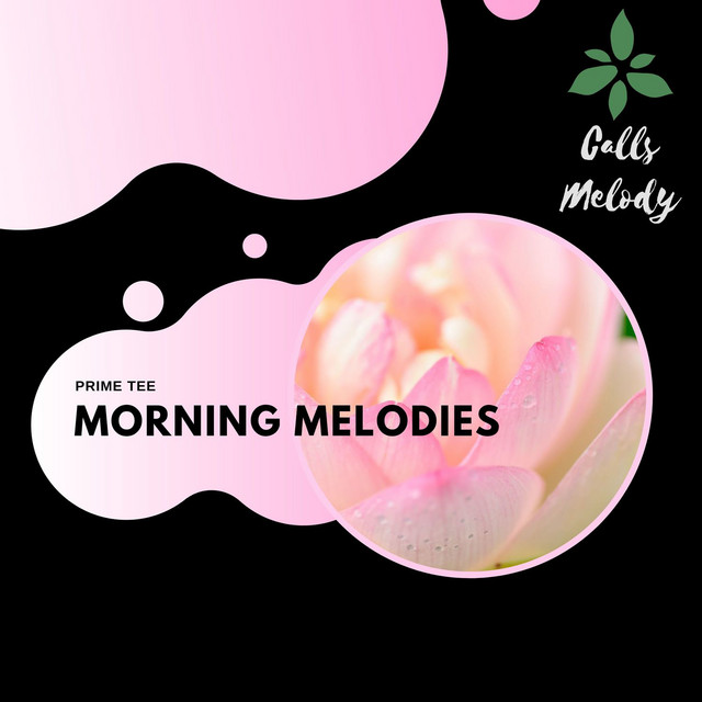 Morning Melodies cover art