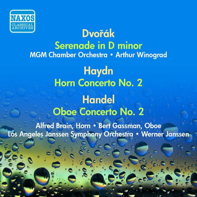 Serenade in D Minor, Op. 44, B. 77: III. Andante con moto (Version for orchestra) cover art