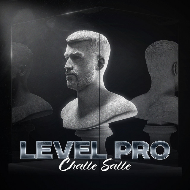LEVEL PRO