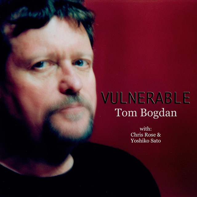 Vulnerable cover art
