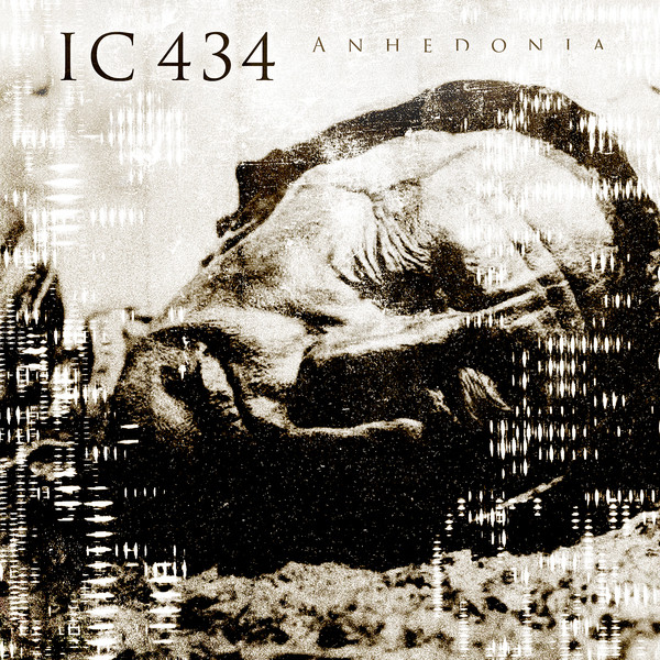 Anhedonia cover art