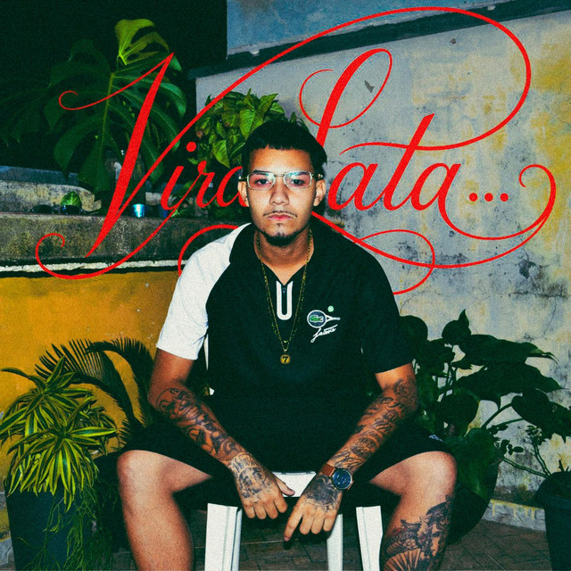 VIRA-LATA