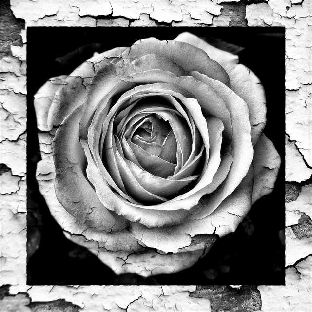 Modern Day Love Story cover art