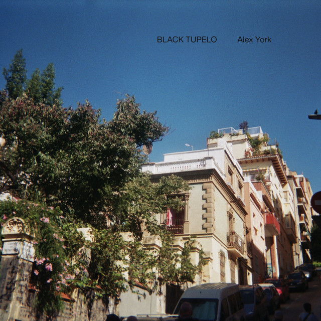 Black Tupelo cover art