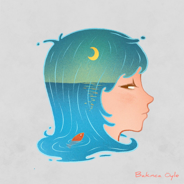Bakınca Öyle cover art