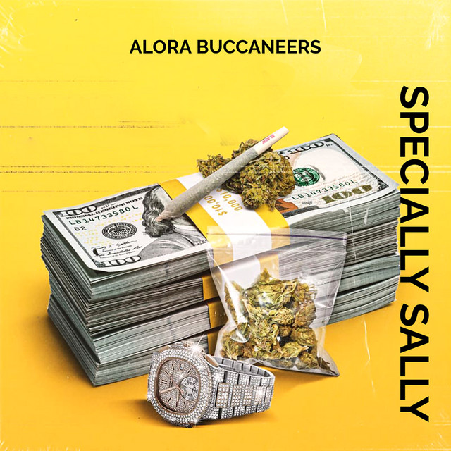 SPECIALLY SALLY cover art