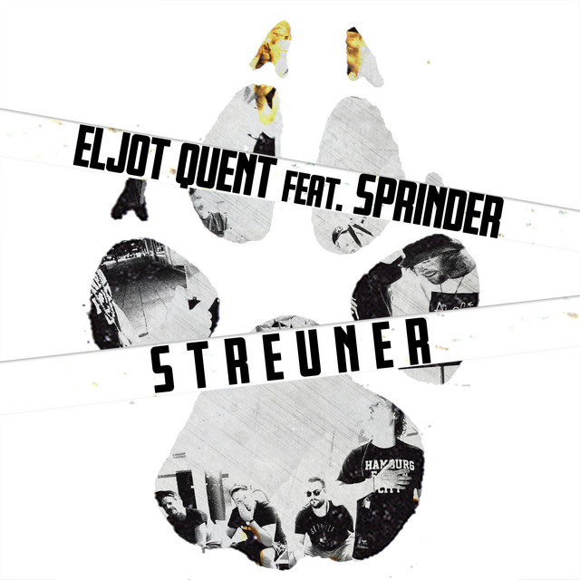 Streuner (feat. Sprinder) cover