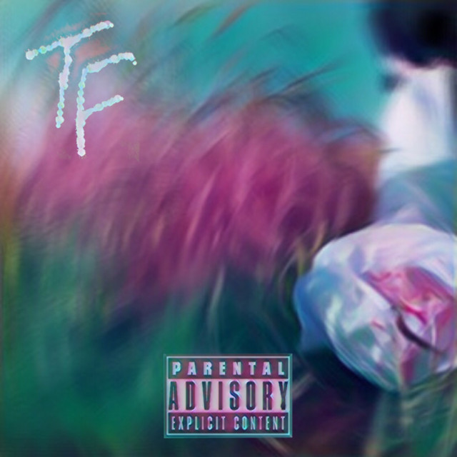 Someone Wants To Say Hi cover art