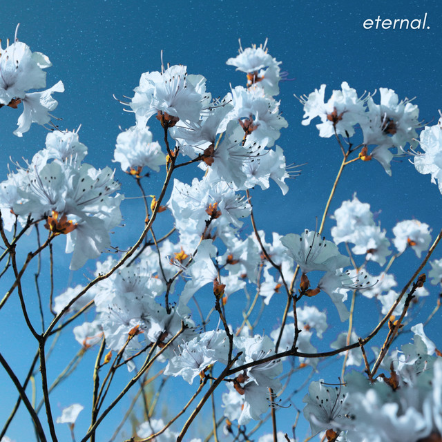 lilacfrog – Eternal