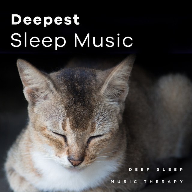 Deepest Sleep Music - Album by Deep Sleep Music Therapy | Spotify