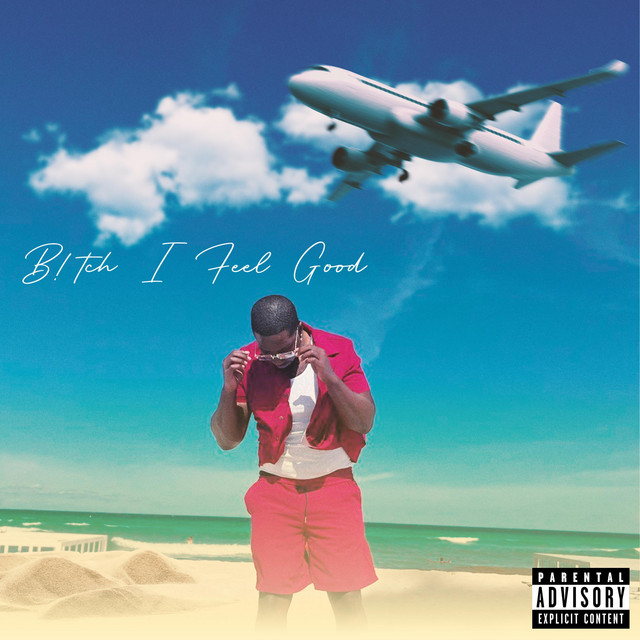 B!tch I Feel Good cover art