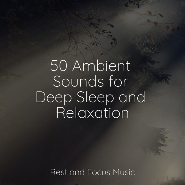 50 Ambient Sounds for Deep Sleep and Relaxation - Album by Ruído Branco ...
