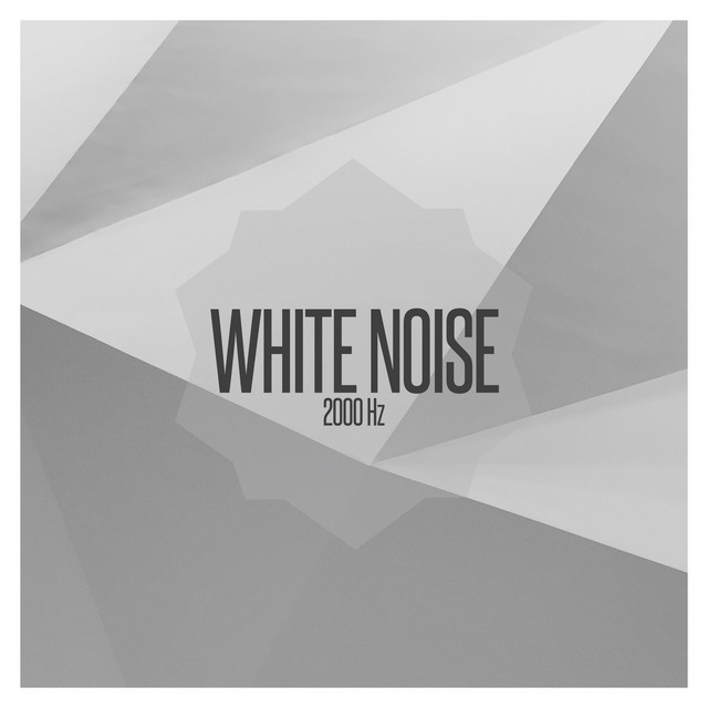 White Nois Stasis Photo