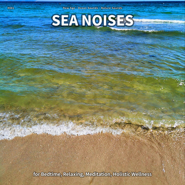 #001 Sea Noises for Bedtime, Relaxing, Meditation, Holistic Wellness cover art