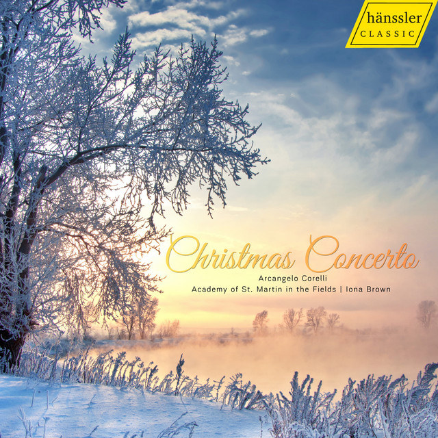Christmas Concerto in G Minor - V. Allegro