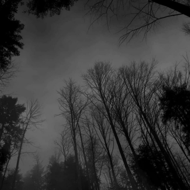 Casket cover art