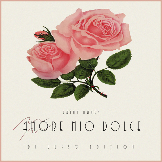 Amore Mio Dolce (Di Lusso Edition) cover art