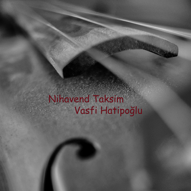 Vasfi Hatipoğlu